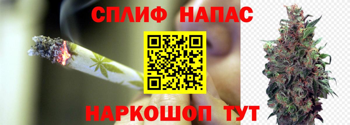 Бошки марихуана конопля Зеленогорск